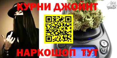 jwh Бердск